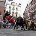 Tori a Pamplona, tra folclore e proteste