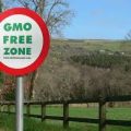 No OGM in Agricoltura