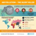 Inquinanti e perdita di salute