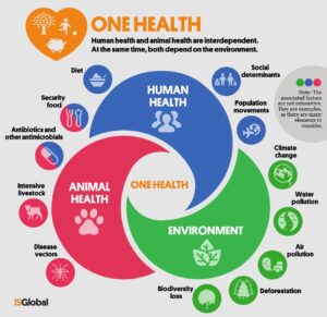 One Health e cambiamenti climatici
