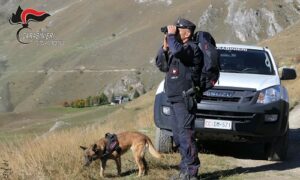 Carabinieri forestali, più attenzione ai lupi e all’acqua